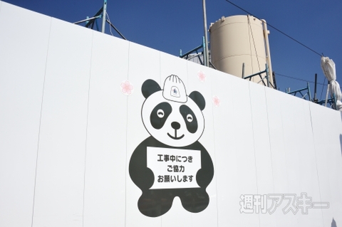 上野でパンダ公開！！