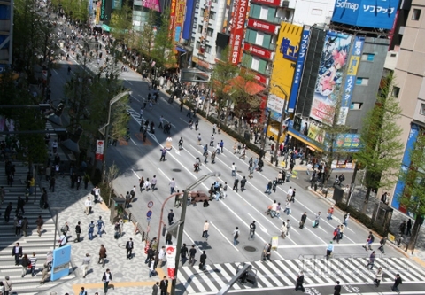 アキバホコ天復活