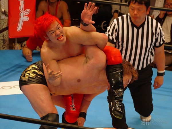 ブシロードレスリング