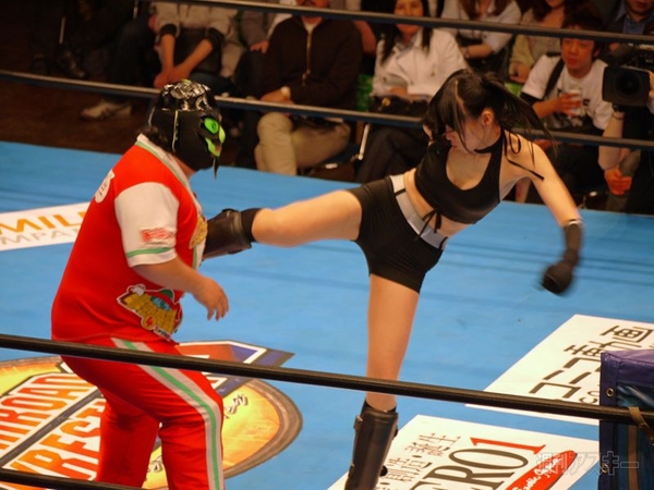 ブシロードレスリング