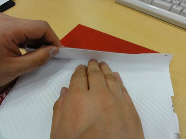 BodyGuardz Carbon Fiber Skin for apple iPad2