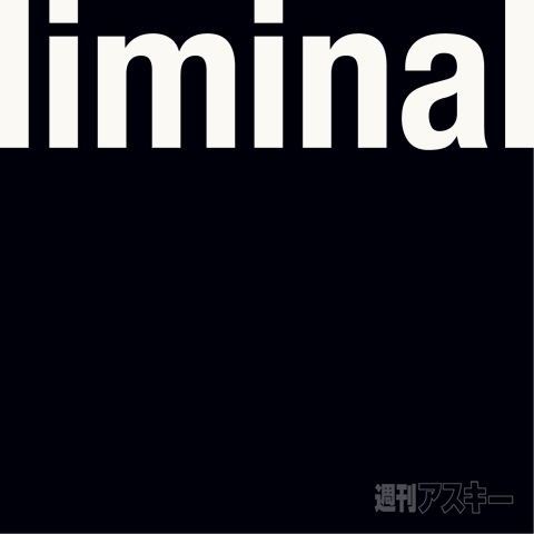 2011 0510 liminal photo