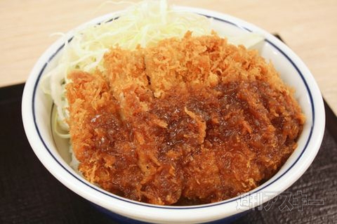 【アキバ食い倒れ部2011】かつや