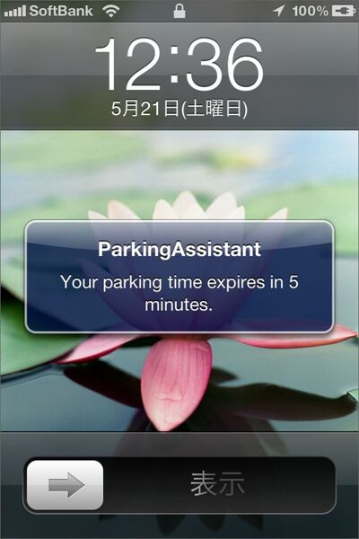 20110606parkingassistant