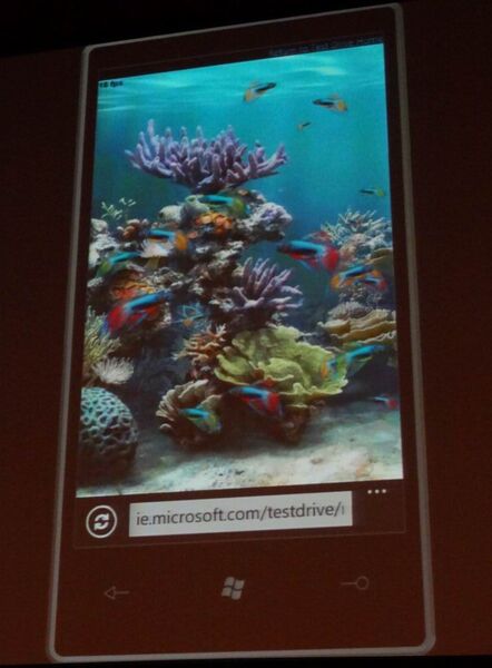 Windows Phone Developer Day