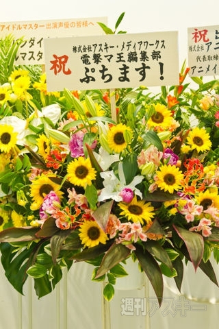 IMAS20110625