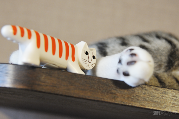 ネコノデジタルカメラ