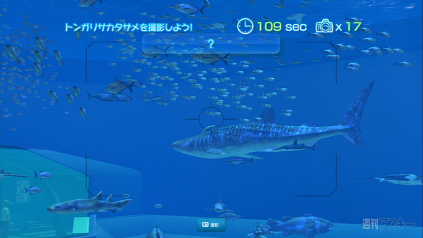 Sony Aquarium VR 黒潮の海