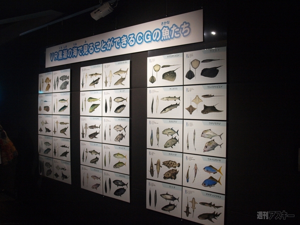 Sony Aquarium VR 黒潮の海