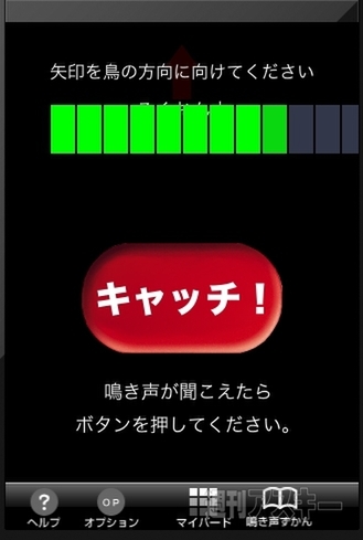 野鳥の声から名前がわかる