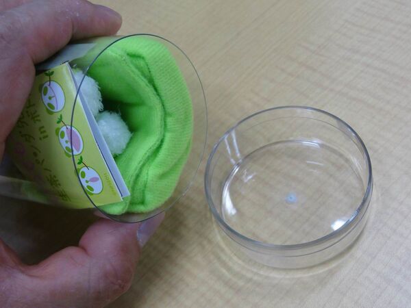 生茶パンダ先生付きモバイルケースがか・わ・ゆ・す～