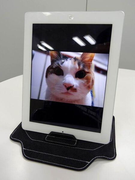 変形してスタンドになっちゃうキワモノ（？）スリーブケース