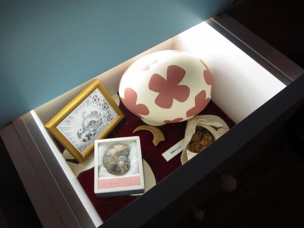 藤子・F・不二雄ミュージアム