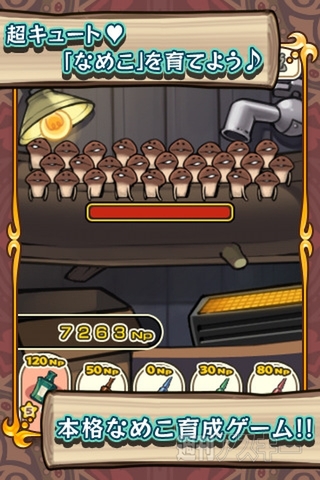 おさわり探偵なめこ栽培キット