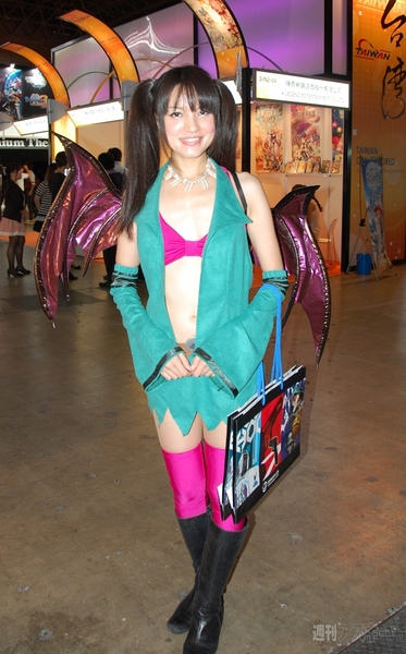 TGS2011