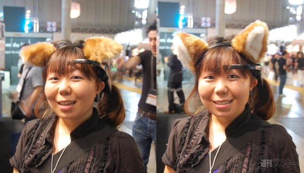 TGS2011