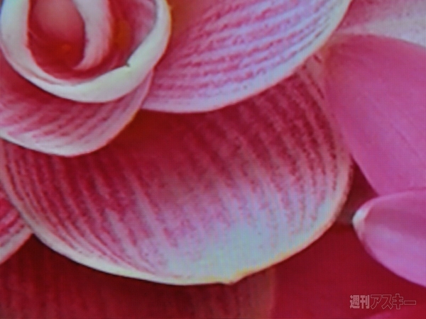 『レグザタブレット』『レグザブルーレイ』新モデル