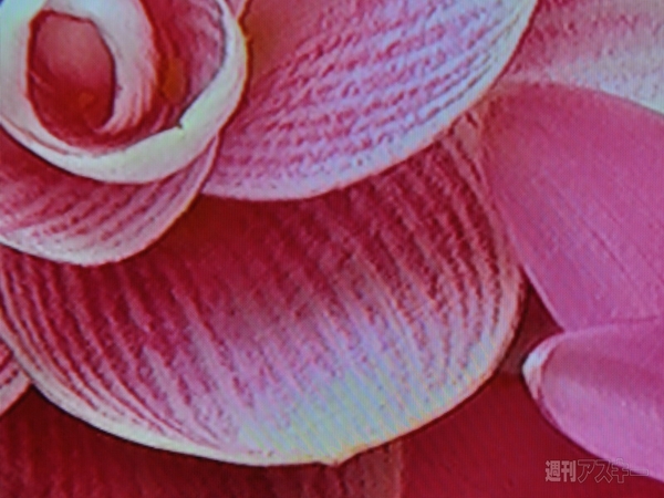 『レグザタブレット』『レグザブルーレイ』新モデル