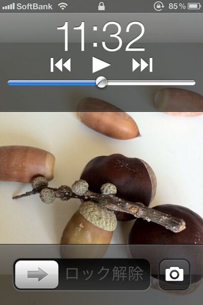 【井上真花寄稿】アプデはじまる！　iOS5で、iPhoneが、生活がこう変わる!!