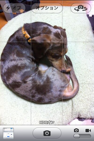 【井上真花寄稿】アプデはじまる！　iOS5で、iPhoneが、生活がこう変わる!!