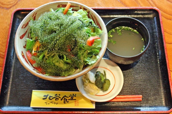 【アキバ食い倒れ部2011】全国味めぐり