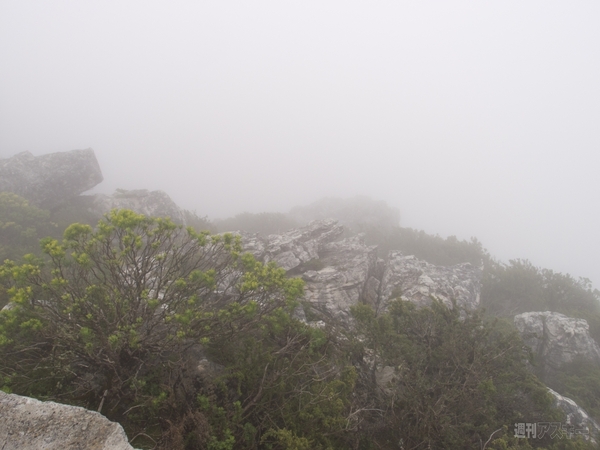 世界一周　南アフリカ