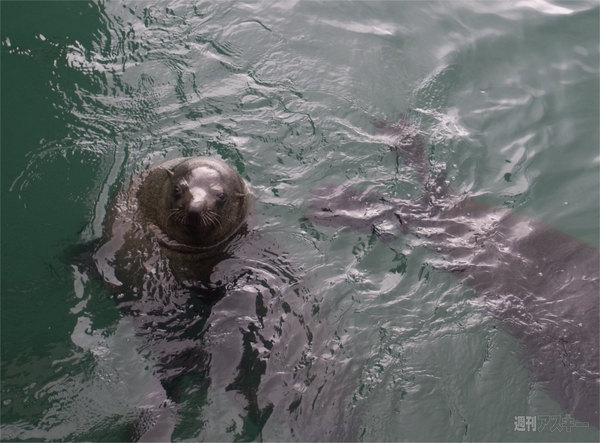 世界一周　南アフリカ