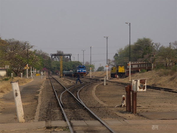 世界一周　ジンバブエ