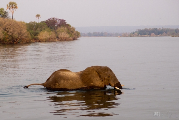 世界一周　ジンバブエ