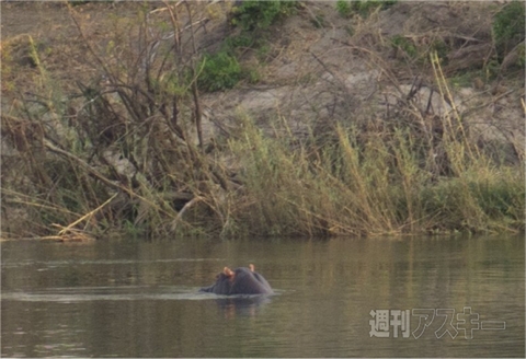 世界一周　ジンバブエ