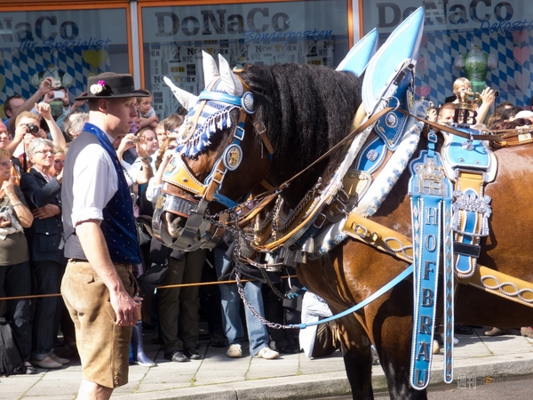 世界一周　ミュンヘン