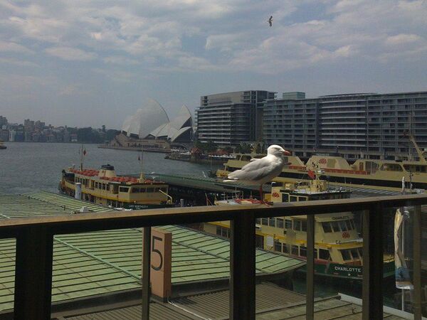 シドニーなら6000円でスマホが買えちゃう