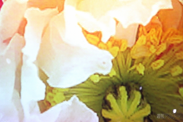 【TMS2011探検隊】痛車の究極系に留まらない『Fun-Vii』はクルマ興味ゼロのマイ度肝をぶっこ抜き！　西館1・2ホール編