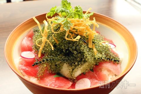 【アキバ食い倒れ部2011】和風料理