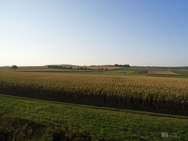 世界一周　オーストリア