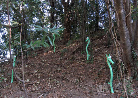 藤子・F・不二雄ミュージアム餅つきイベント2012