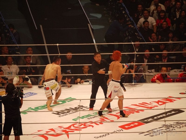 元気ですか!! 大晦日!! 2011