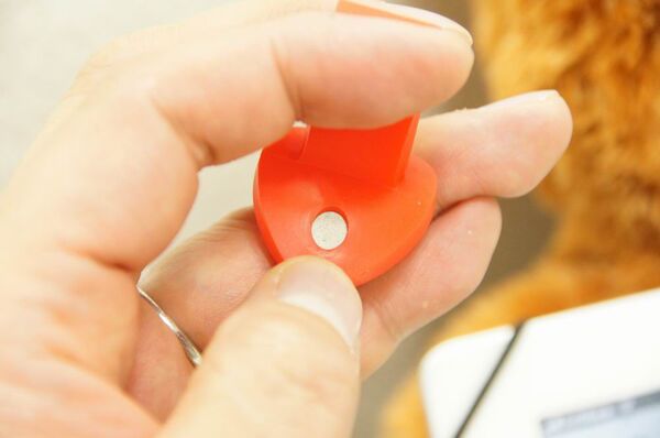 くまのぬいぐるみ型iPadカバー・スタンド『Paddy Bear』