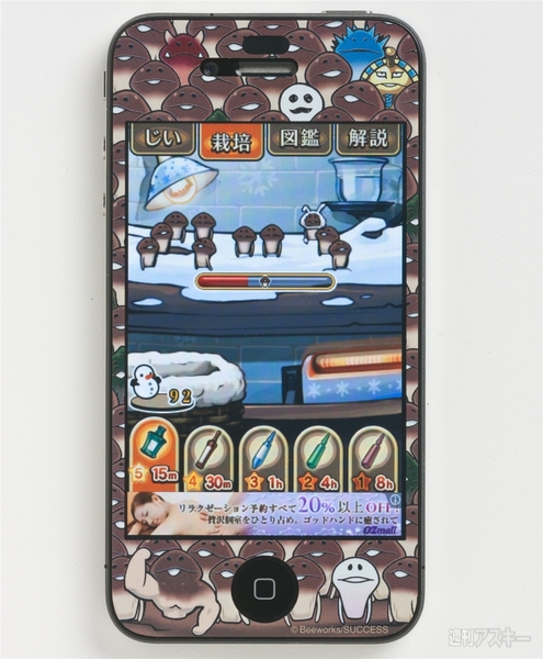 なめこアクセサリー