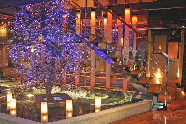 【アキバ食い倒れ部2012】867居酒屋Bar