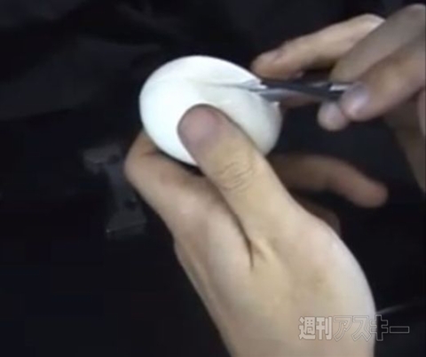 稲見昌彦教授インタビュー