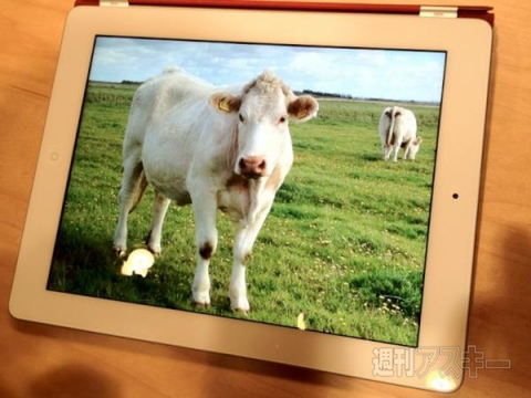 新しいiPadに触ったので最速レビュー！