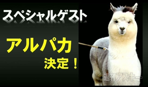 3.6ニコニコ超会議