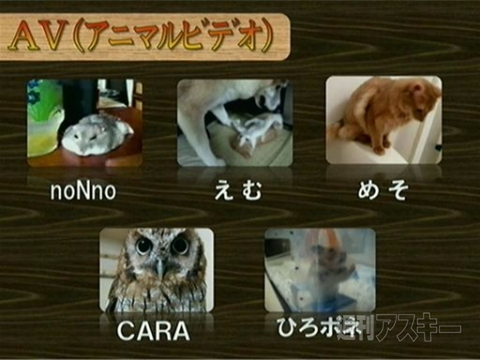 ニコニコ超会議のカンファレンス