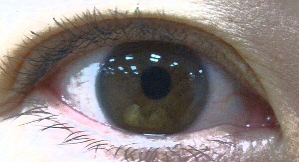 「ペーパーライク」なディスプレイがヒトとコンピュータの関係を変える【本田雅一氏寄稿】