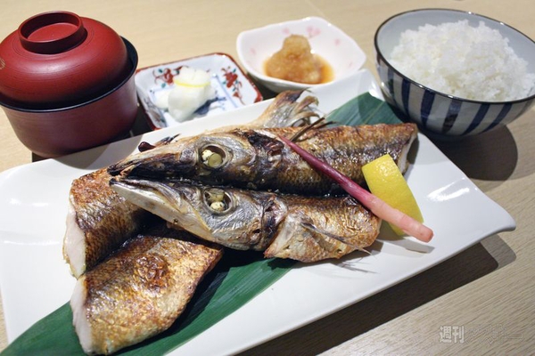 【アキバ食い倒れ部2012】寿司、魚料理