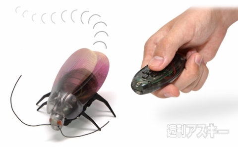 急旋回で逃げまくれ！ ゴキブリ型赤外線ラジコン『ゴキラジ』登場