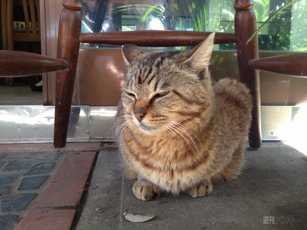 男のInstagram撮影術　第1回