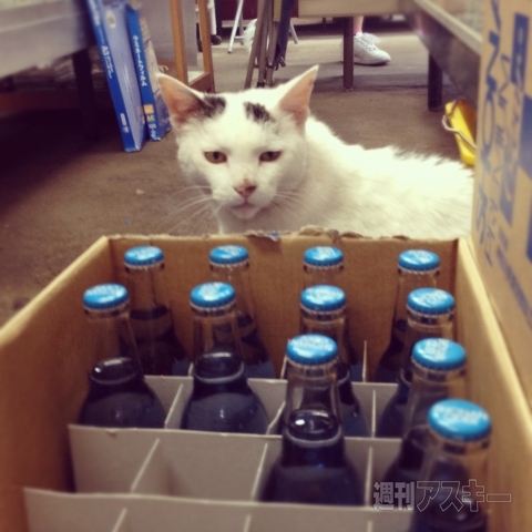 男のInstagram撮影術　第1回