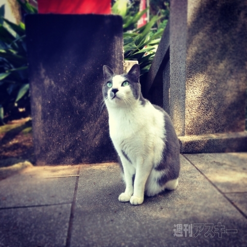 男のInstagram撮影術　第1回